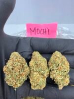 MOCHI - Image 2