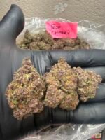 TROP CHERRY - Image 2