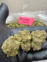 BLAZER RUNTZ - Image 2