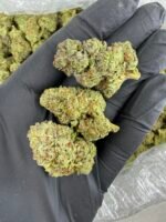 GMO - Image 2
