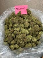 BISCOTTI - Image 2