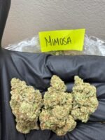 MIMOSA - Image 2