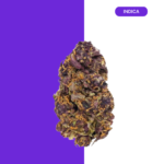 Purple Urkel