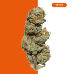 ANIMAL COOKIES