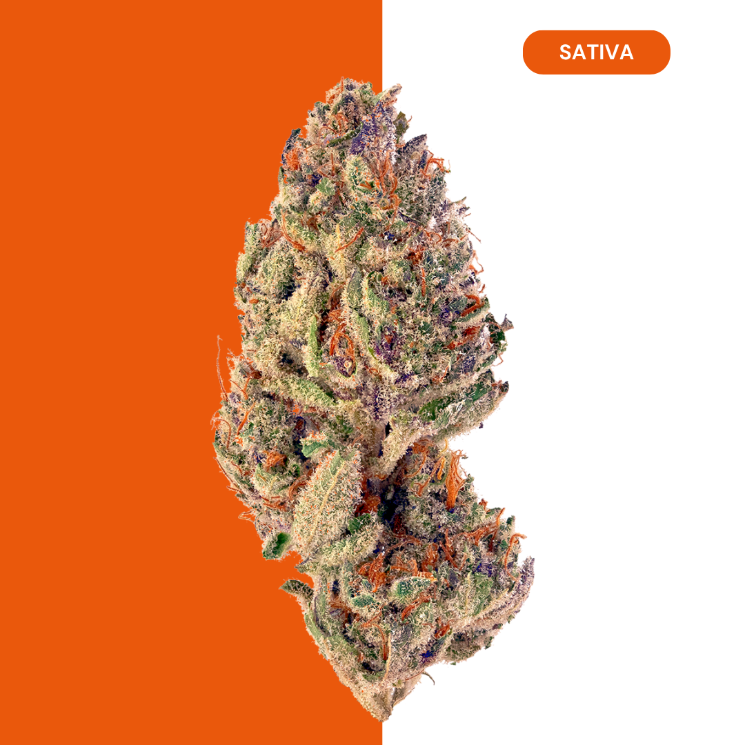 TROPICANA COOKIES - Image 1