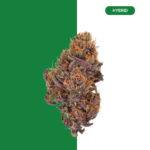 GRAPE GAS