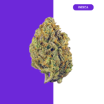 LEMON HAZE