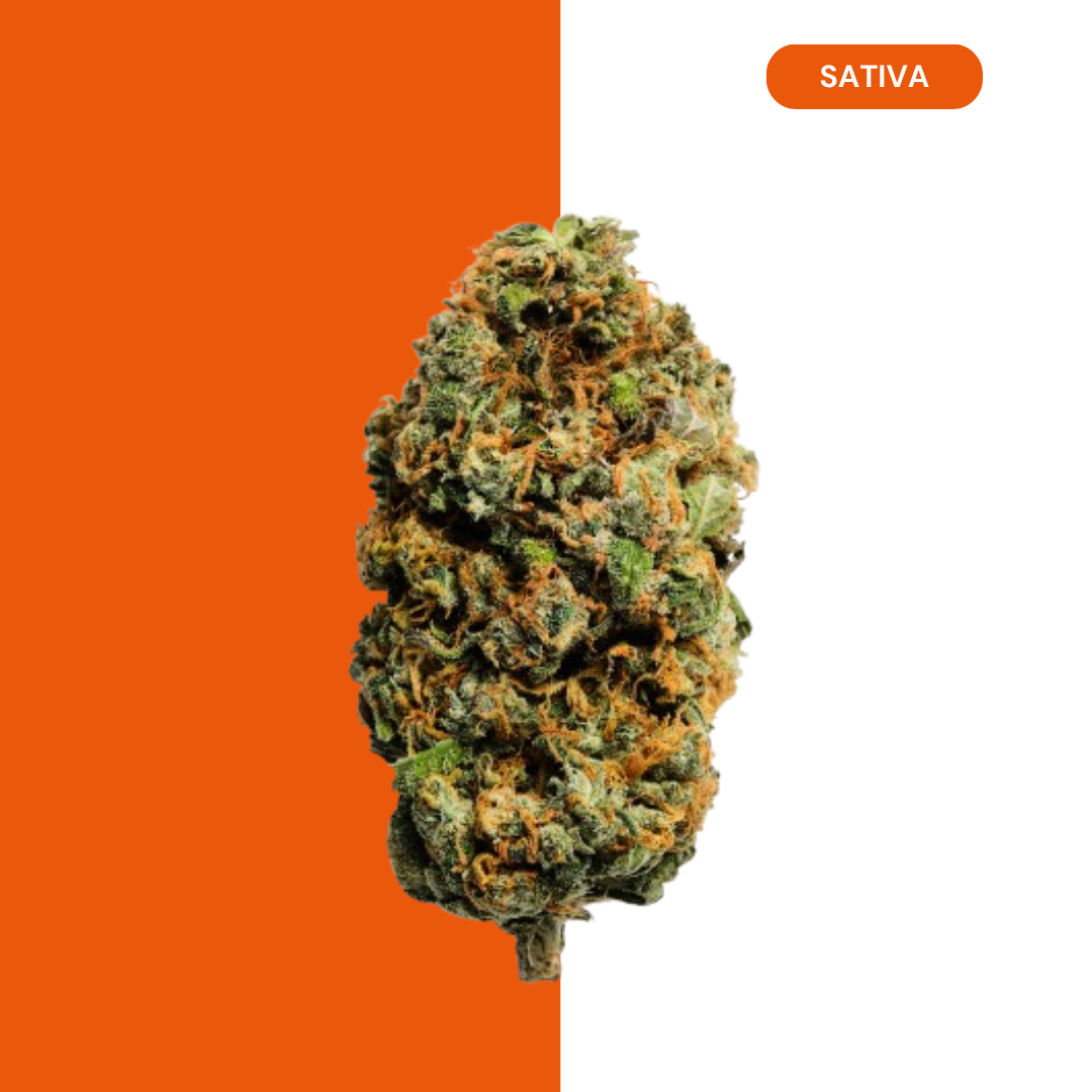 BLUE DREAM - Image 1