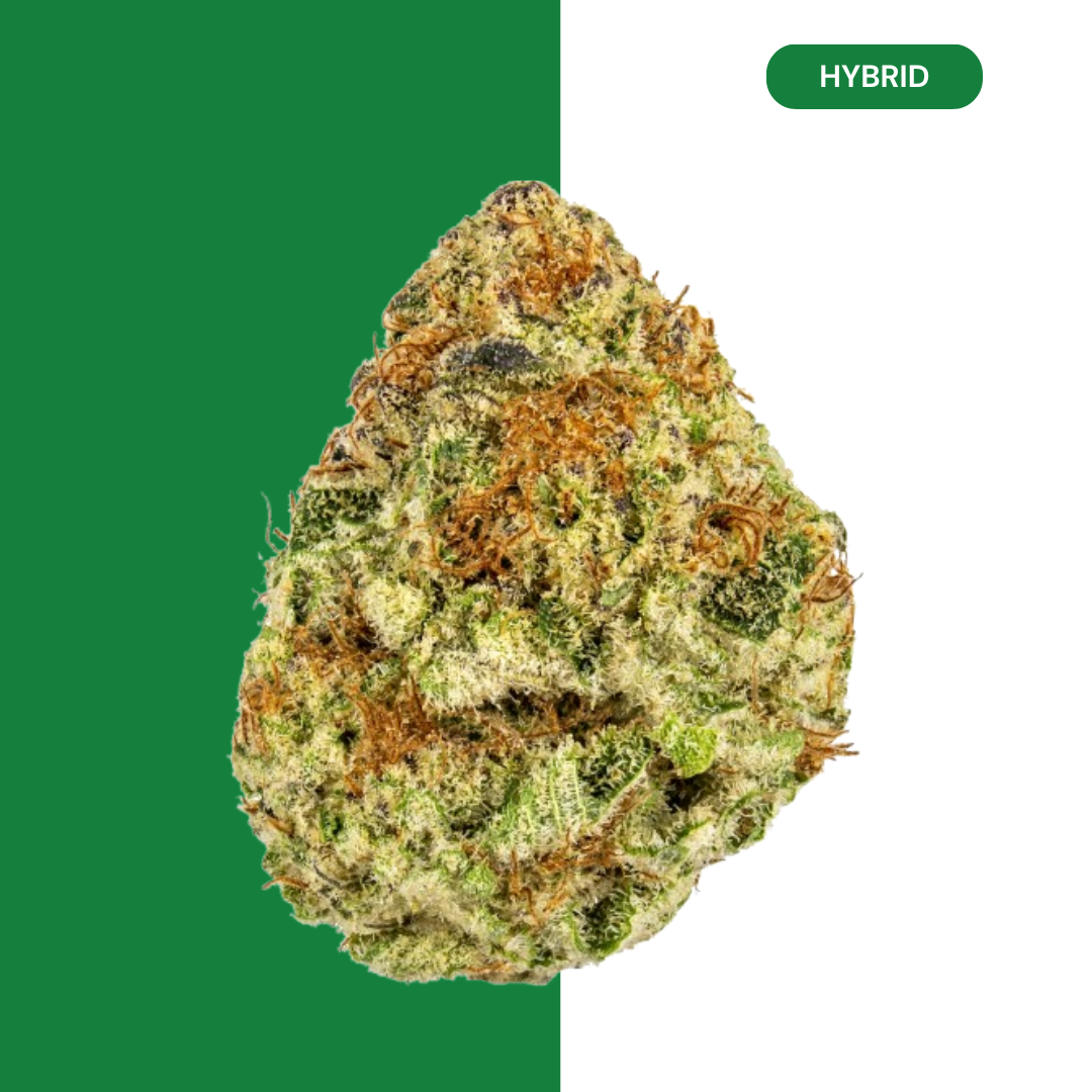 PUNCH BREATH - Image 1