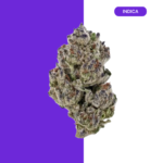 GIRL SCOUT COOKIES