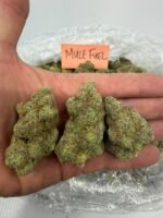 Muel Fuel - Image 4