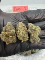 CANDY LCG - Image 4