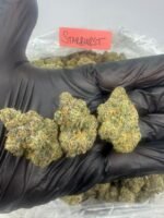 StarBurst - Image 3