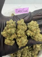 CANDY FUME - Image 3