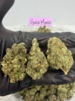 Gush Mintz - Image 3