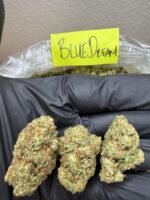 BLUE DREAM - Image 2