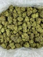 GMO DEP - Image 3