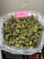 OREOZ - Image 3
